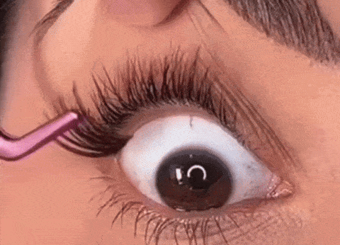 Step 2: Apply the Segments