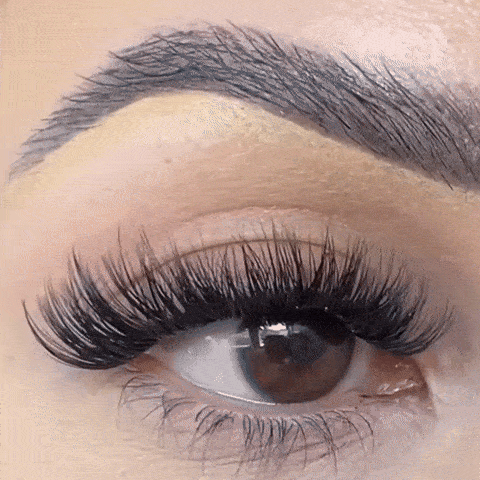 Step 4:  Enjoy 10 days of Perfect Lashes